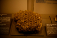 Thumbnail _mg_3817.jpg 