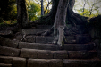 Thumbnail _mg_4092.jpg 