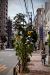 Thumbnail _mg_4353.jpg 
