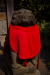 Thumbnail _mg_5186.jpg 