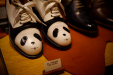 Thumbnail _mg_5527.jpg 