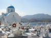 Thumbnail IMG_2425.JPG 