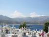 Thumbnail IMG_2426.JPG 