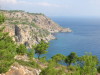 Thumbnail IMG_2440.JPG 