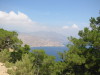 Thumbnail IMG_2444.JPG 