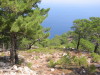 Thumbnail IMG_2445.JPG 