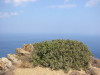 Thumbnail IMG_2454.JPG 