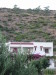 Thumbnail IMG_2472.JPG 