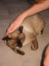 Thumbnail IMG_2486.JPG 