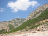 Thumbnail IMG_2492.JPG 