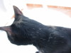Thumbnail IMG_2533.JPG 