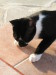 Thumbnail IMG_2537.JPG 