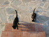 Thumbnail IMG_2538.JPG 