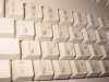 Thumbnail IMG_2543.JPG 