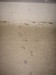 Thumbnail IMG_2562.JPG 