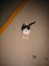 Thumbnail IMG_2563.JPG 