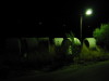 Thumbnail IMG_2569.JPG 