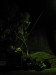 Thumbnail IMG_2575.JPG 