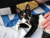 Thumbnail IMG_2590.JPG 
