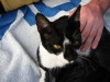 Thumbnail IMG_2592.JPG 