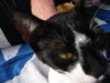 Thumbnail IMG_2593.JPG 