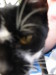 Thumbnail IMG_2596.JPG 
