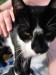 Thumbnail IMG_2598.JPG 