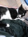 Thumbnail IMG_2600.JPG 
