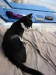 Thumbnail IMG_2604.JPG 