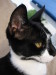 Thumbnail IMG_2605.JPG 