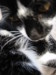 Thumbnail IMG_2606.JPG 