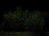 Thumbnail IMG_2616.JPG 