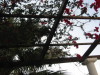 Thumbnail IMG_2650.JPG 