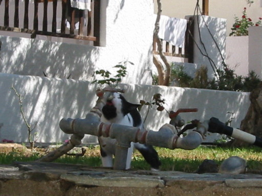 IMG_2417.JPG 