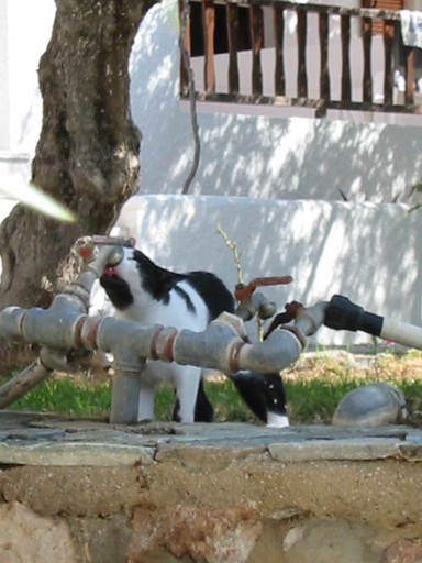 IMG_2418.JPG 