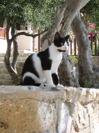 IMG_2420.JPG 