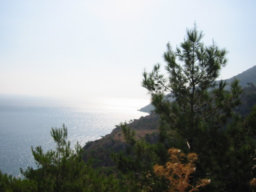IMG_2435.JPG 