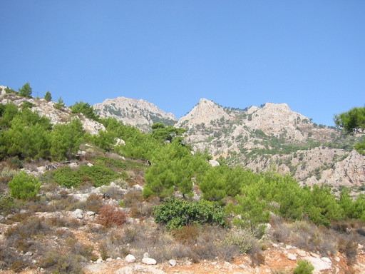 IMG_2437.JPG 