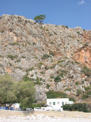 IMG_2442.JPG 