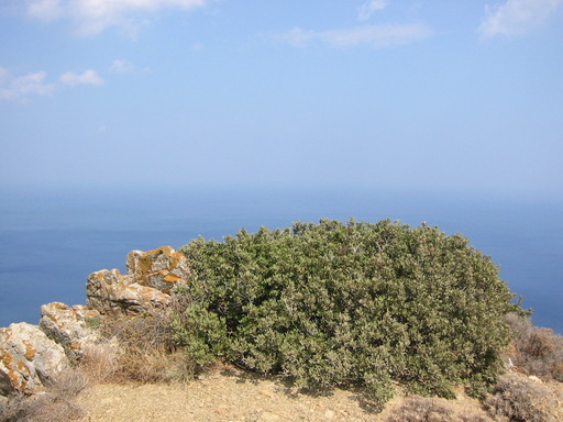 IMG_2454.JPG 