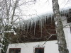 Thumbnail IMG_6898.JPG 
