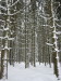 Thumbnail IMG_6899.JPG 