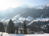 Thumbnail IMG_6916.JPG 