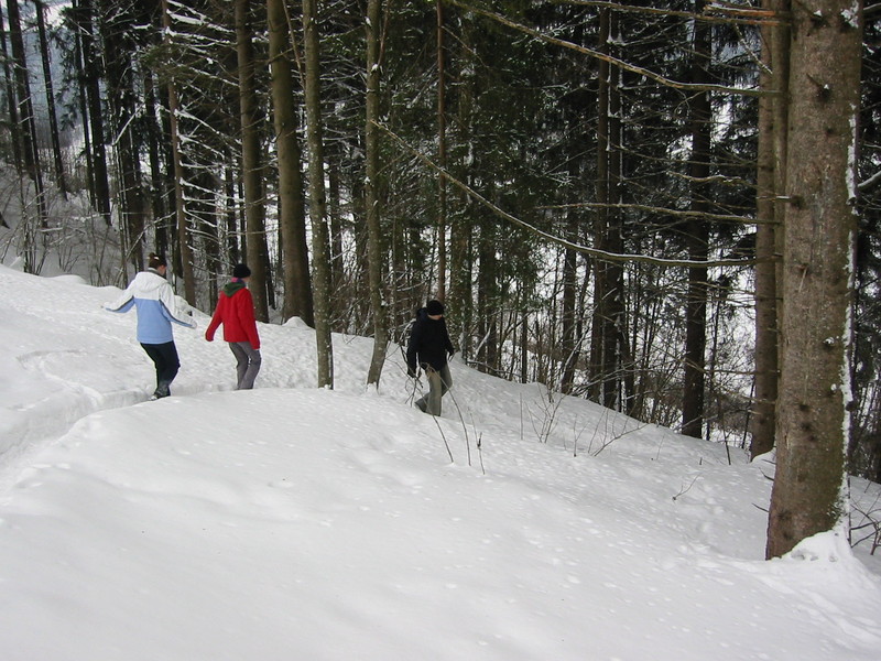 IMG_6897.JPG 