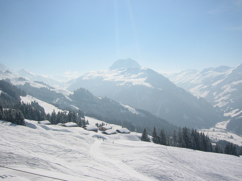 IMG_6913.JPG 