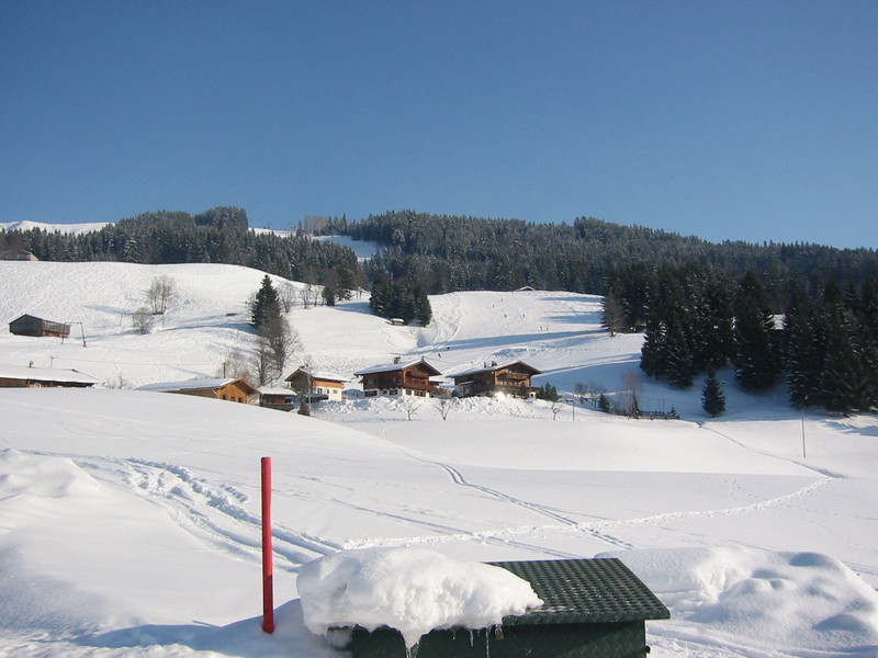 IMG_6915.JPG 