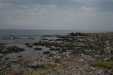 Thumbnail img_5691.jpg 