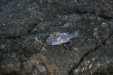 Thumbnail img_5701.jpg 