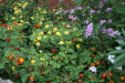 Thumbnail img_5708.jpg 