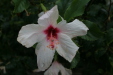 Thumbnail img_5710.jpg 